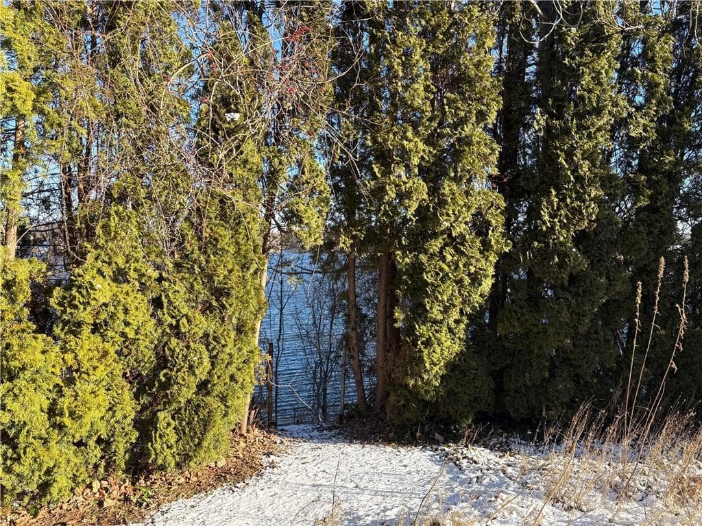 351 COUNTY Road - Photo 4