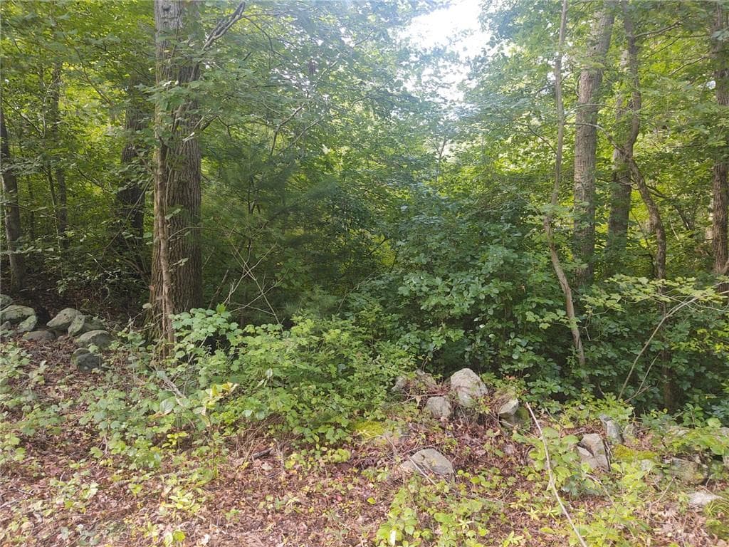 0 WINTER Street - Photo 2