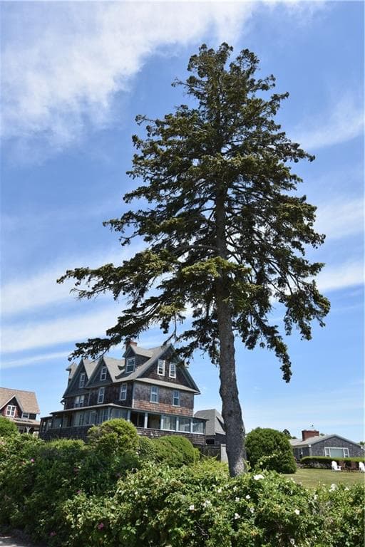 112 Noyes Neck Road - Photo 3